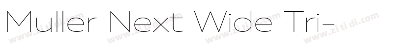 Muller Next Wide Tri字体转换